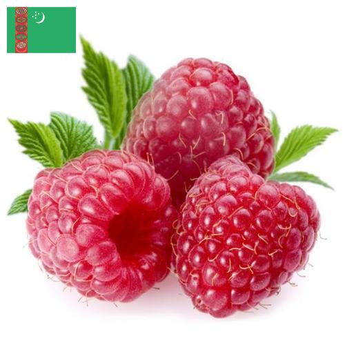 Малина из Туркмении