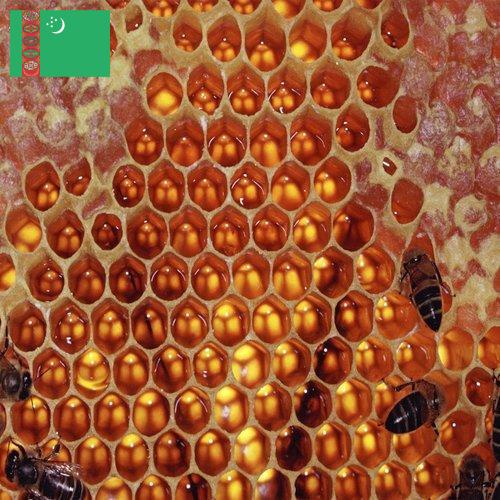 мед оборудование из Туркмении