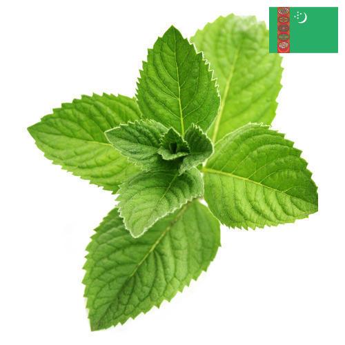 Ментол из Туркмении