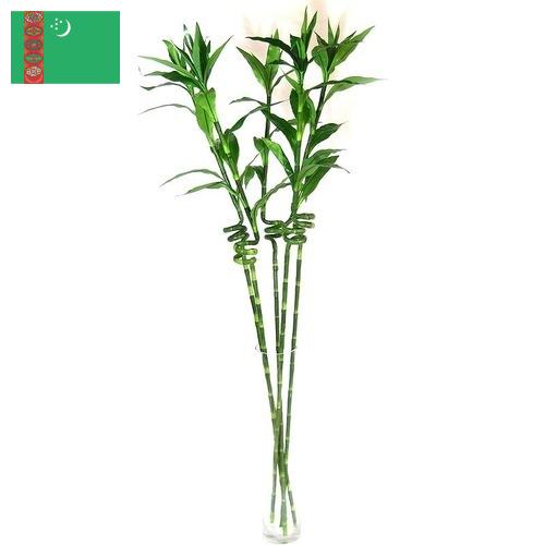 Растения искусственные из Туркмении