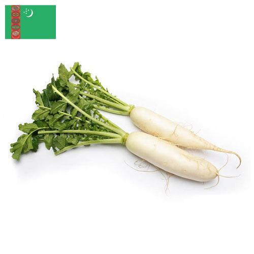 редиска из Туркмении