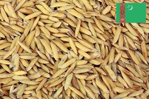 рис сырец из Туркмении