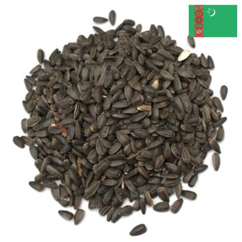 Семена цветов из Туркмении