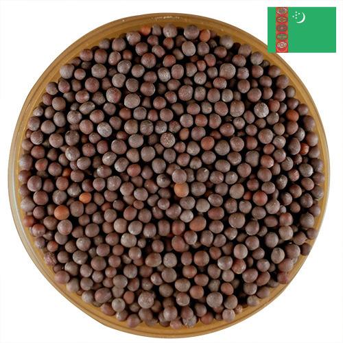 семена горчица из Туркмении