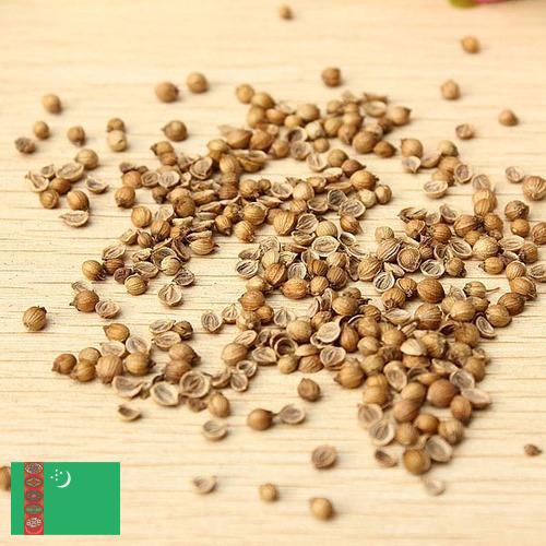 Семена овощей из Туркмении