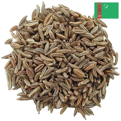 Семена тмина из Туркмении