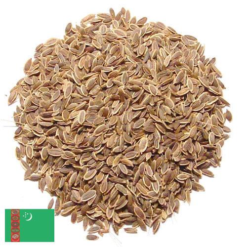 Семена укропа из Туркмении