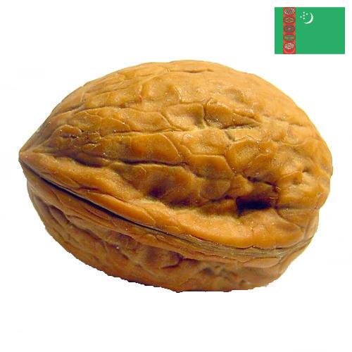 Скорлупа грецкого ореха из Туркмении