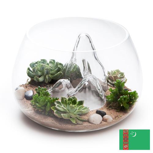 Террариумы из Туркмении