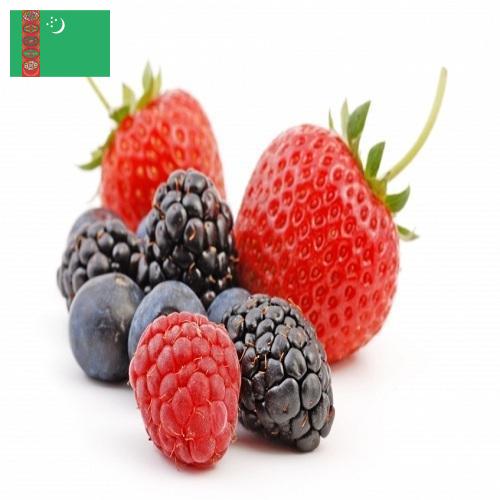 Ягоды из Туркмении