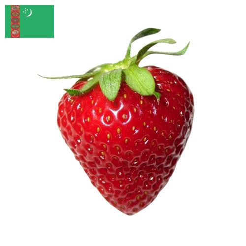 Земляника из Туркмении