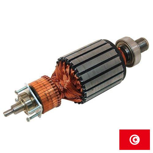 Арматура из Туниса