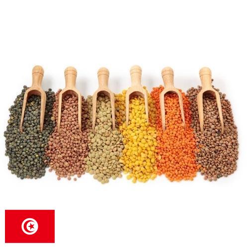 Бобовые культуры из Туниса