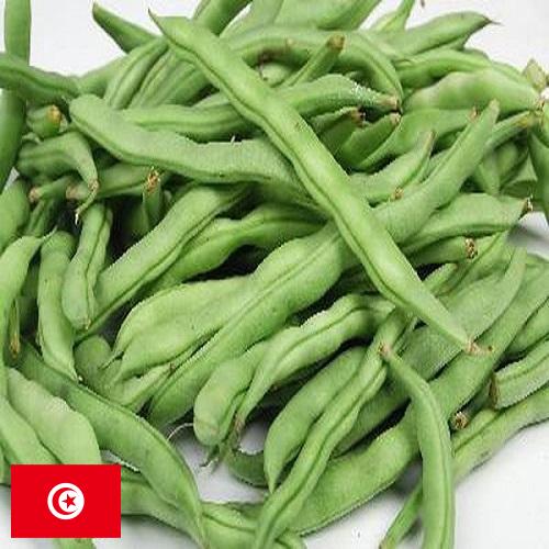 Бобы из Туниса