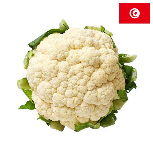 Капуста цветная из Туниса
