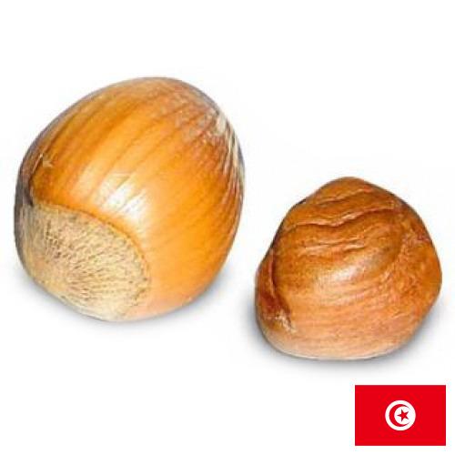 орех фундук из Туниса