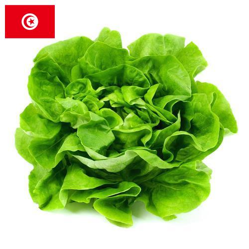 салат из Туниса