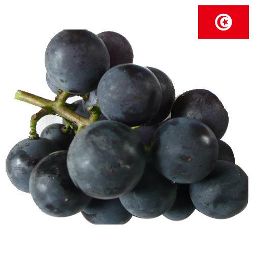 виноград столовый из Туниса