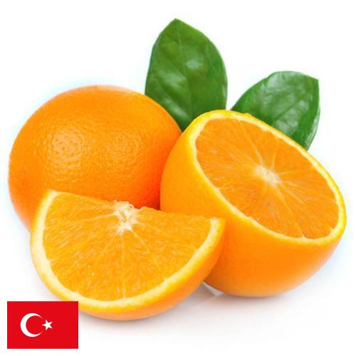 Апельсины из Турции