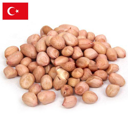 арахис сырой из Турции