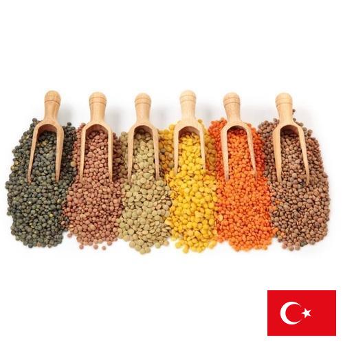 Бобовые культуры из Турции