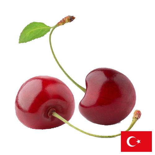 Черешня из Турции
