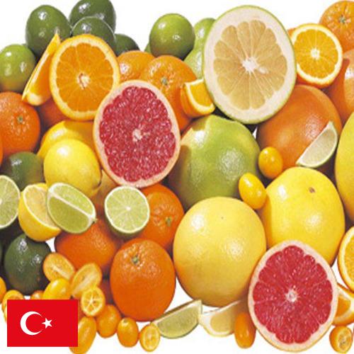 Цитрусовые фрукты из Турции