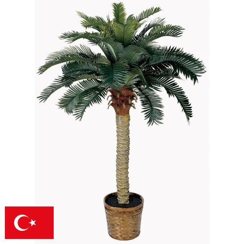 Деревья искусственные из Турции