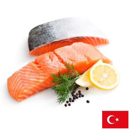 Филе рыбы из Турции