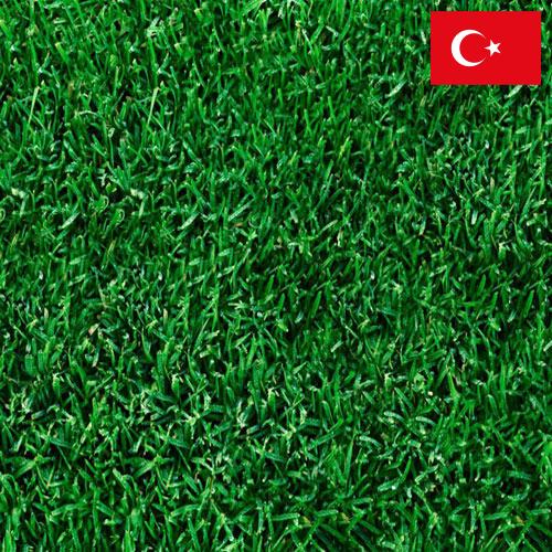 Газонная трава из Турции