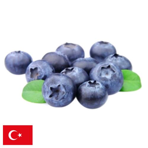 Голубика из Турции