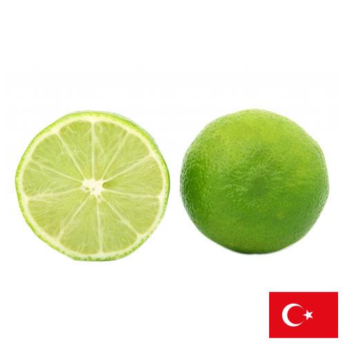 Известь из Турции