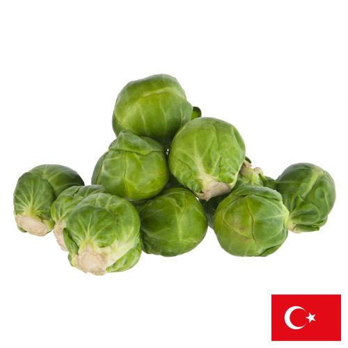 Капуста брюссельская из Турции