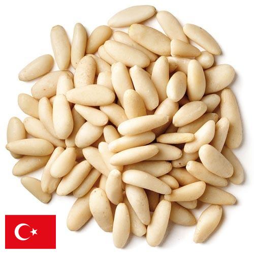 Кедровые орехи из Турции