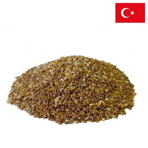 Корма для птицы из Турции