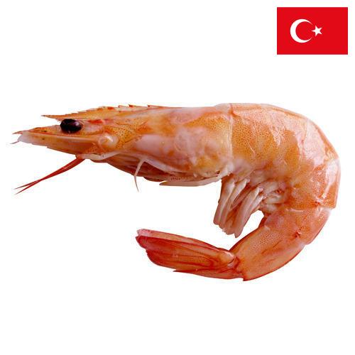 Креветки из Турции