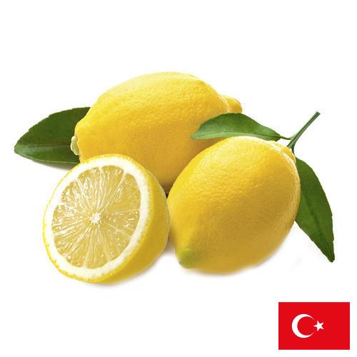 лимон свежий из Турции