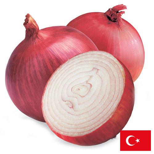 Лук красный из Турции
