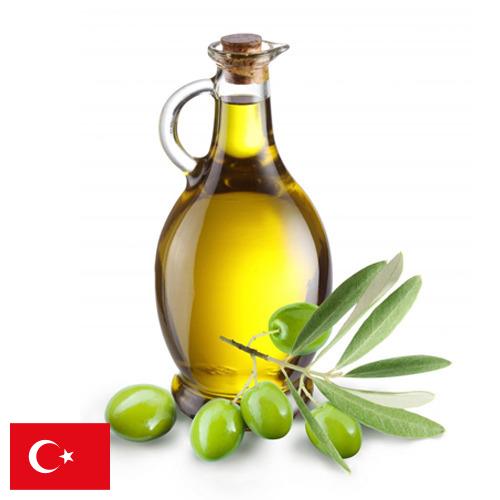 Масло оливковое из Турции