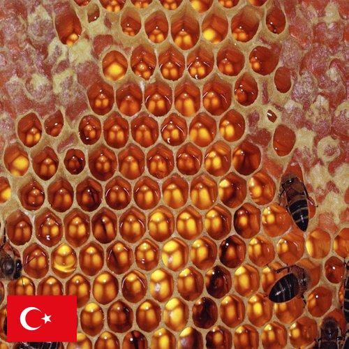 мед оборудование из Турции