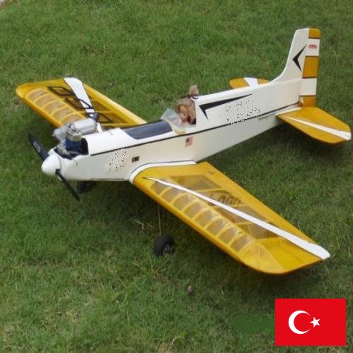 модель самолета из Турции