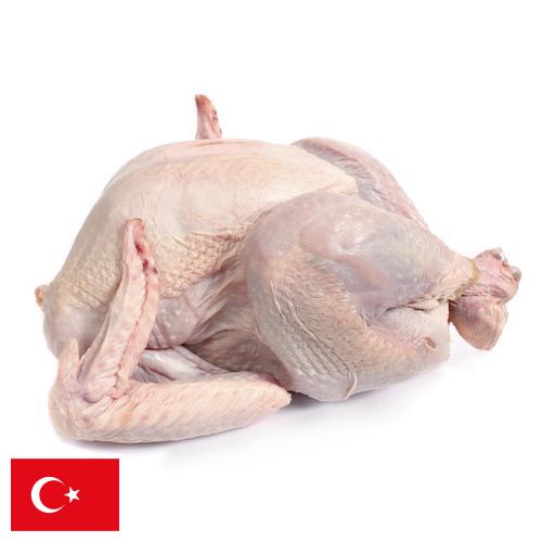 Мясо индейки из Турции