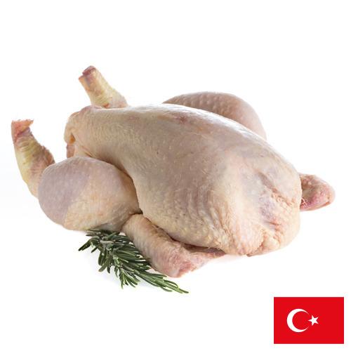 мясо птицы механической обвалки из Турции