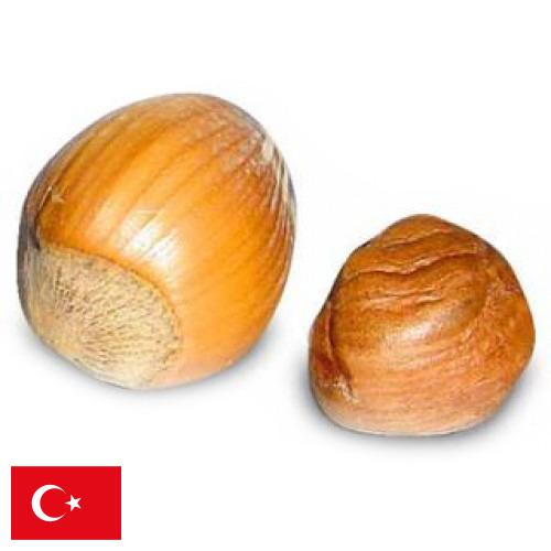 орех фундук из Турции