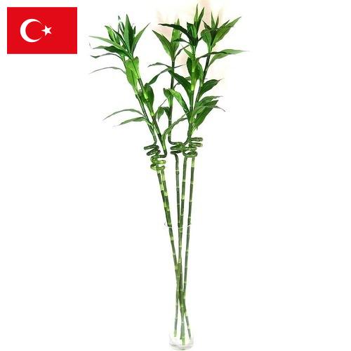 Растения искусственные из Турции