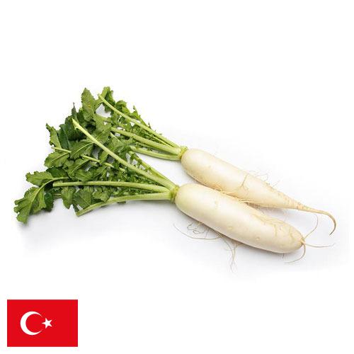редиска из Турции
