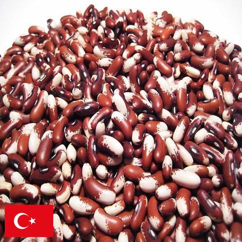 Семена бобов из Турции