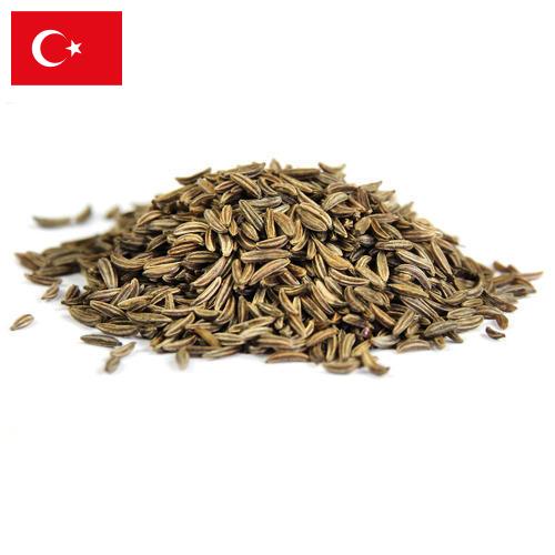 Семена фенхеля из Турции