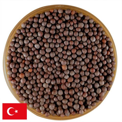 семена горчица из Турции