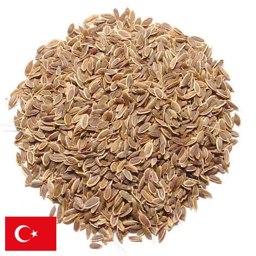 Семена укропа из Турции